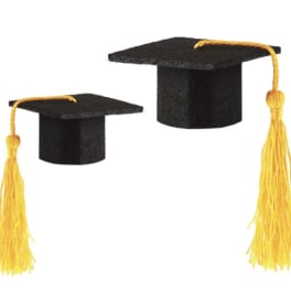 Mini Graduation Hat