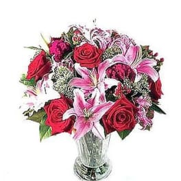 Roses & Stargazers