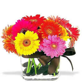 Bright mixed gerbera daisies in pink, yellow, and orange in a square glass vase with a dark ribbon.