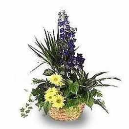Tall basket garden with purple blooms, yellow daisies, and assorted plants