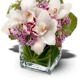 Short arrangement of white cymbidium orchids and pink blooms in a square glass vase lined with green leaves