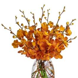 Orange orchid arrangement in a clear glass vase with visible stems and branches