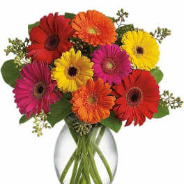 Bright mixed gerbera daisies in red, orange, yellow, and pink arranged in a clear glass vase