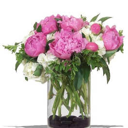 Pink peonies and white hydrangeas in a clear glass cylinder vase with dark stones at the base