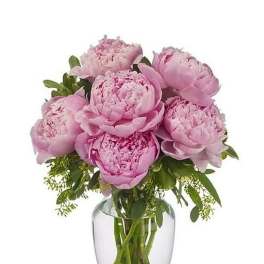 Pink peony bouquet arranged in a clear glass vase