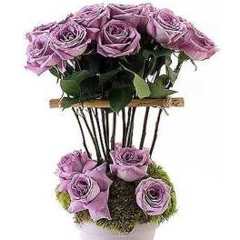 Tall topiary-style arrangement of lavender roses in a white pot with moss base