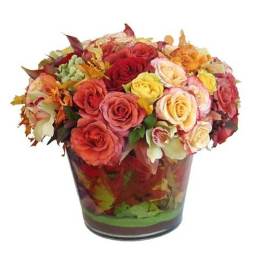 Low glass vase of mixed red, peach, yellow, and cream roses with orchids in a compact round arrangement
