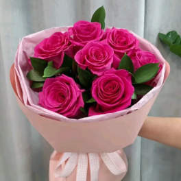 Bouquet of bright pink roses wrapped in pale pink paper