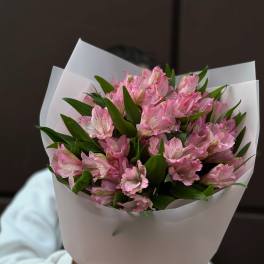 Bouquet of pink alstroemeria wrapped in white paper