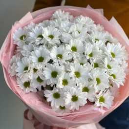 Bouquet of white daisies wrapped in pink paper