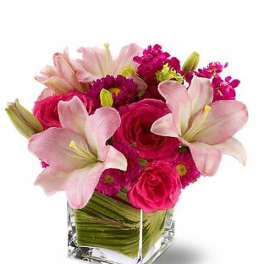 Posh Pinks