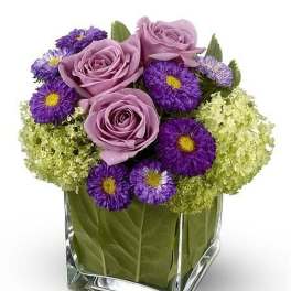Compact cube arrangement of lavender roses, purple asters, and green hydrangeas in a glass vase lined with leaves.