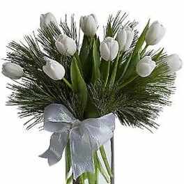 Tulips and Pine