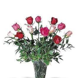 Assorted Roses