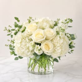 White roses and hydrangeas arranged in a clear glass vase