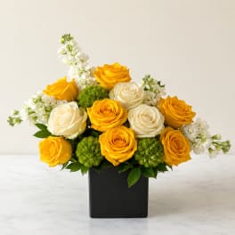 Yellow and white roses arranged in a black square vase with white filler flowers