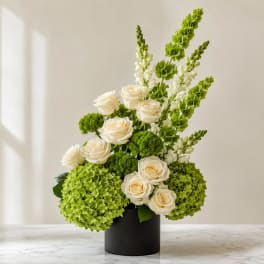 White roses and green hydrangeas in a black vase