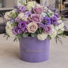 Lavender Reverie