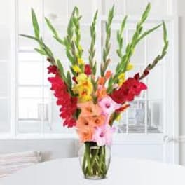 Tall mixed bouquet in a clear glass vase with red, yellow, orange, and pink flowers