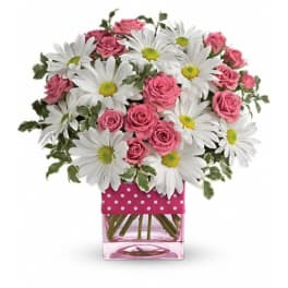 Pink roses and white daisies in a pink polka-dot vase