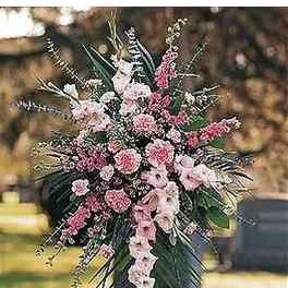 Mixed Pink Spray