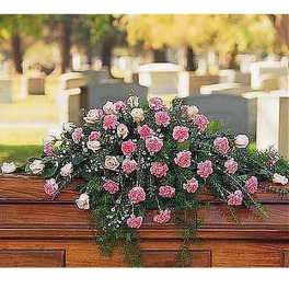 Closed Casket Pink Spray