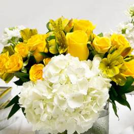 Hydrangeas and roses in a cube