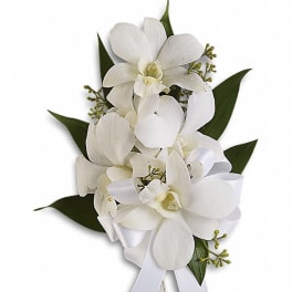 White orchid bouquet with ribbon and dark green leaves