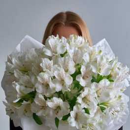 Large bouquet of white alstroemeria wrapped in white paper