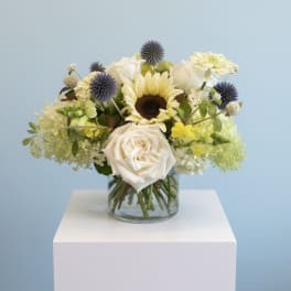 White roses and a sunflower in a glass vase with blue thistle accents