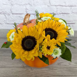 Sunflower Spice