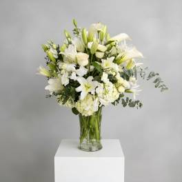 Eternal Grace Tribute