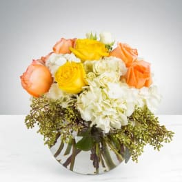Cheery Moments by BloomNation™