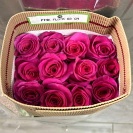 HOT PINK BUNDLE