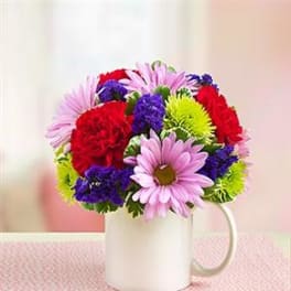 Bright mixed bouquet of pink daisies, red carnations, and green mums arranged in a white mug