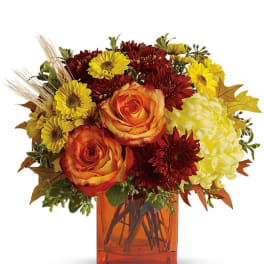 Autumn-colored bouquet of orange roses, yellow and burgundy mums in an orange glass cube vase