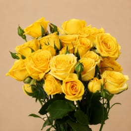 Bouquet of yellow roses with green buds against a beige background