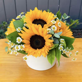 Sunflower bouquet in a white vase with small white daisies
