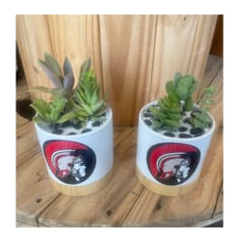 Two small succulent planters in white pots with a school logo