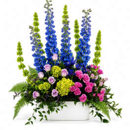 Tall floral arrangement with blue and green spikes and pink roses in a white container