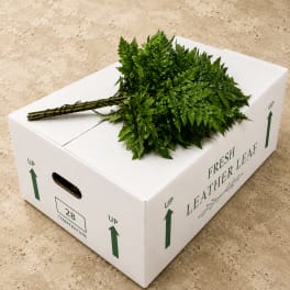 Leather Leaf Box