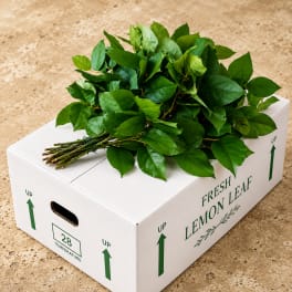 Lemon Leaf Box