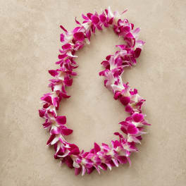 Single Lei Bombay