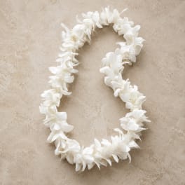 Single Lei White