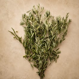 Bundle of olive branches with small green olives on a beige background