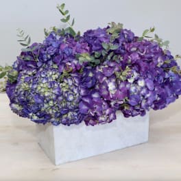 Purple hydrangea arrangement in a white rectangular box