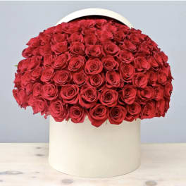 Large dome of red roses in a white hat box