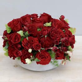 Red rose arrangement in a low white bowl
