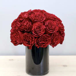 Red roses arranged in a black vase