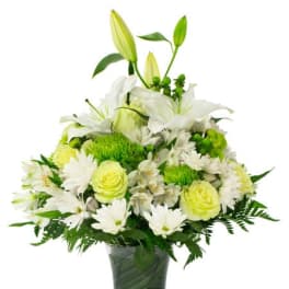 Bloom(funeral)